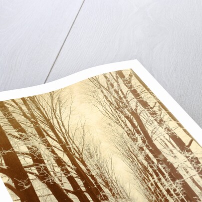 Snowy lane in a park, possibly Amsterdam by Anonymous