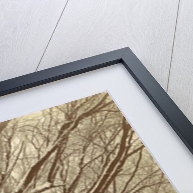 Snowy trees in a park, possibly Amsterdam by Anonymous