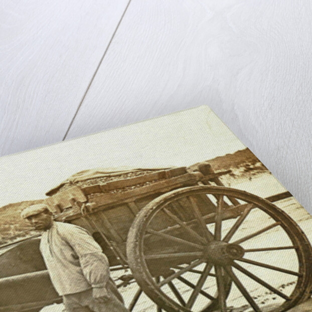 Man with A shell on the beach by Anonymous