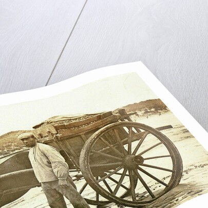 Man with A shell on the beach by Anonymous