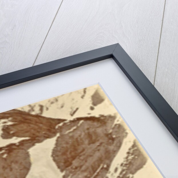 Man on the frozen waterfall Dota, Tibet by D.T. Dalton