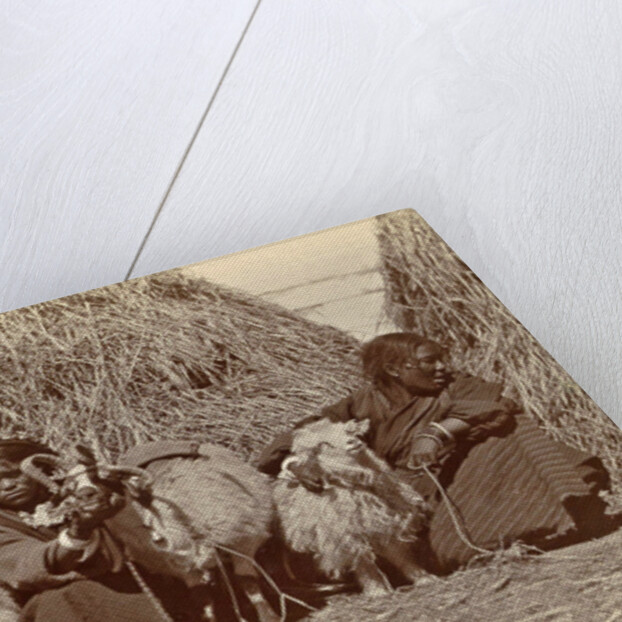 Tibetan women with goats for haystacks by D.T. Dalton