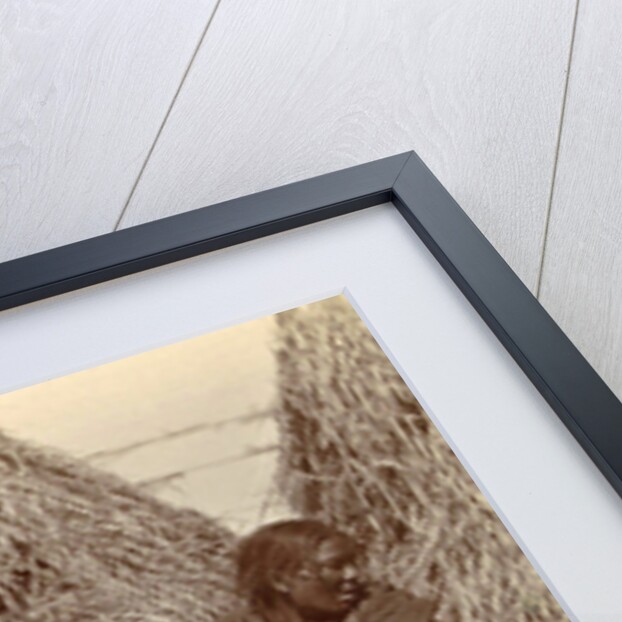 Tibetan women with goats for haystacks by D.T. Dalton