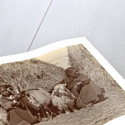 Tibetan women with goats for haystacks by D.T. Dalton