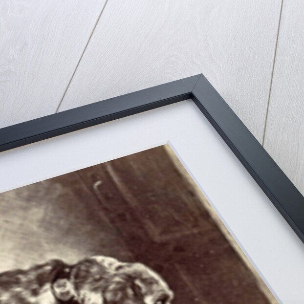 print of a painting by Edwin Henry Landseer by Anonymous