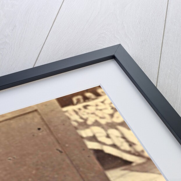 Portrait of an Indian butcher with pig's head, Woodbury & Page, Walter Bentley Woodbury by James Page