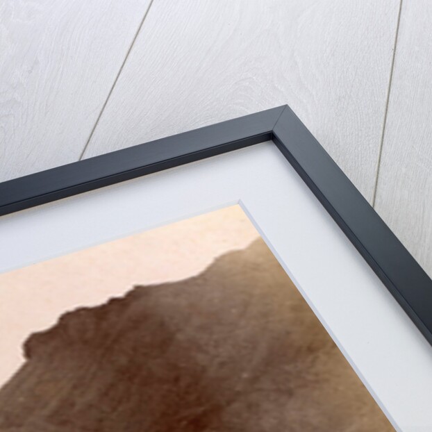 Stone bridge over the river Daliki at Shiraz Buchire by Antoine Sevruguin