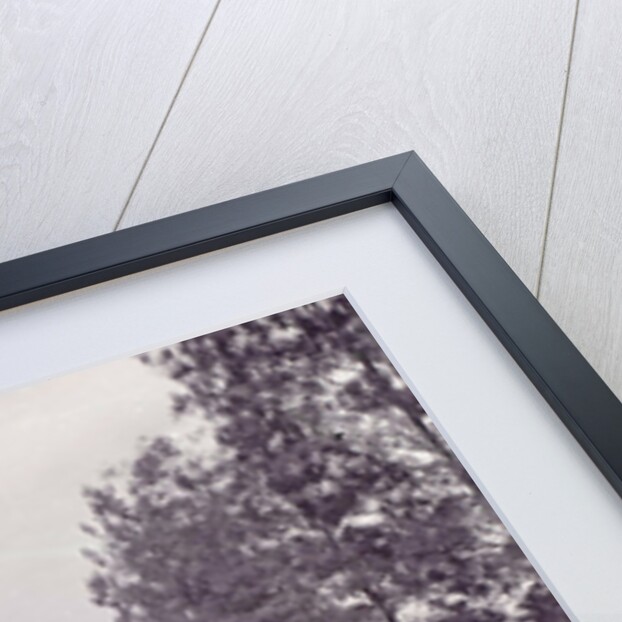 View of the property from the company Grimm (Cake Palace) at the Pasar Besar in Surabaya, Indonesia by Anonymous