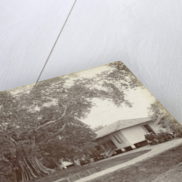 Driveway to a villa in the Dutch East Indies by Anonymous