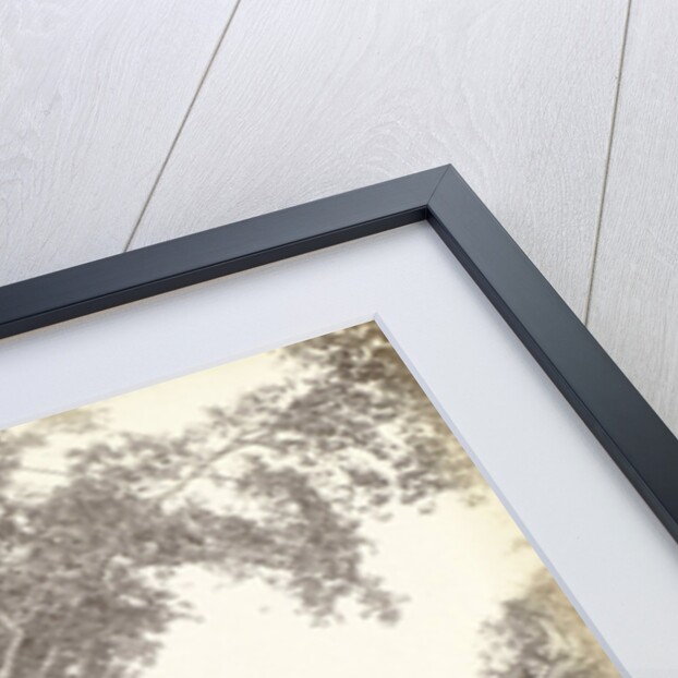 Driveway to a villa in the Dutch East Indies by Anonymous