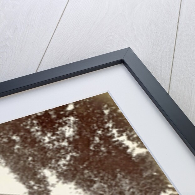 sights in Italy, Switzerland and the Dutch East Indies by Anonymous