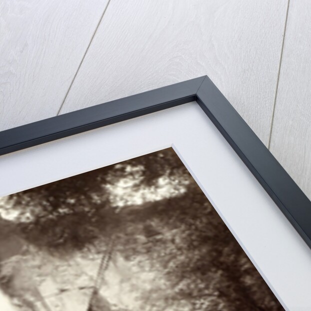 Löwendenkmal in Lucerne by Giorgio Sommer