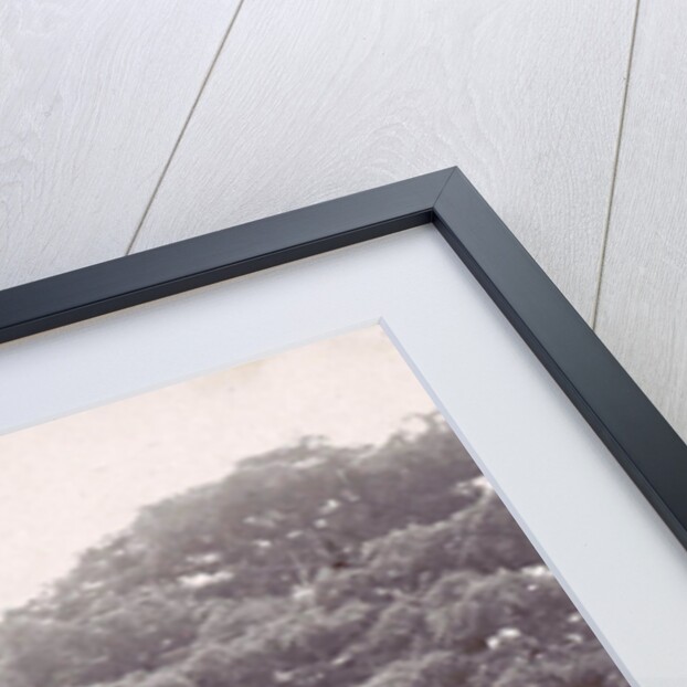 Photo album from a hospital in the Dutch East Indies, Indonesia by Anonymous