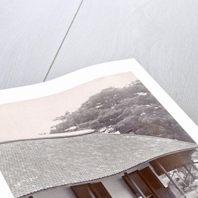 Photo album from a hospital in the Dutch East Indies, Indonesia by Anonymous