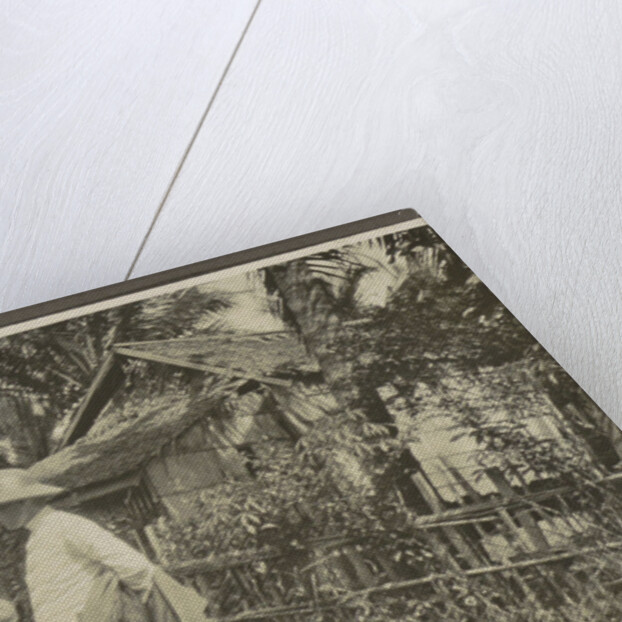 Family Album Dutch East Indies, Indonesia by Anonymous