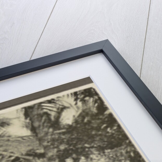 Family Album Dutch East Indies, Indonesia by Anonymous