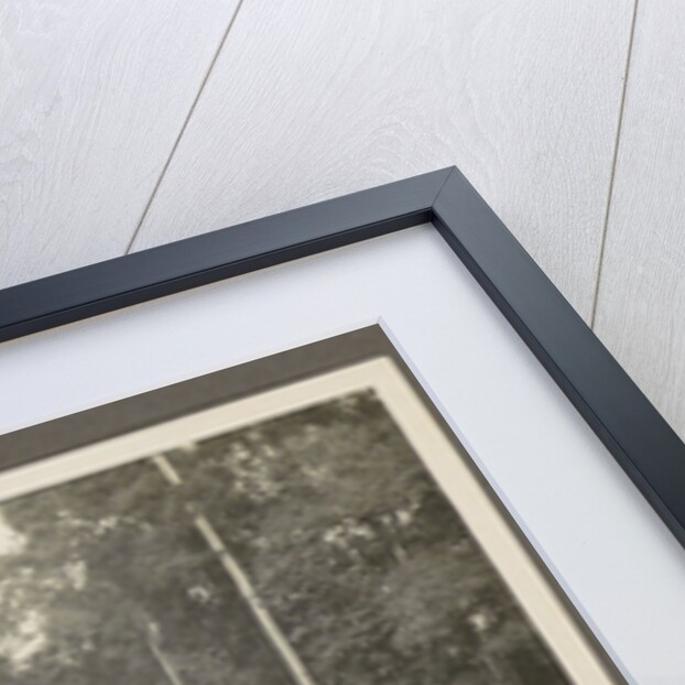 Two wooden houses with porches and an outbuilding by Anonymous