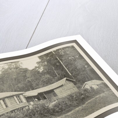 Two wooden houses with porches and an outbuilding by Anonymous