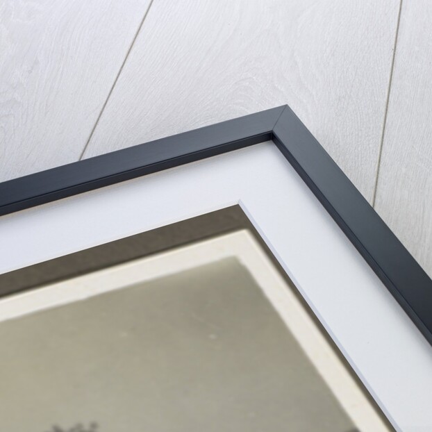 Part of Family Album Dutch East Indies, Indonesia by Anonymous