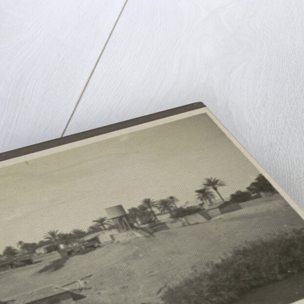 View of a village with a water pool and palm trees on a shore by Anonymous