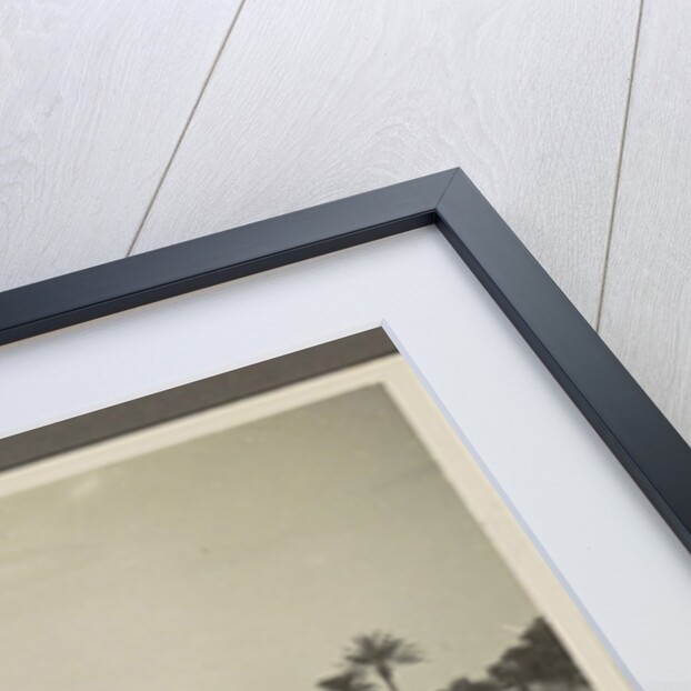 View of a village with a water pool and palm trees on a shore by Anonymous