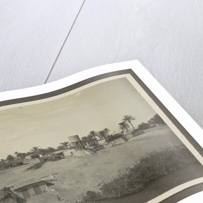 View of a village with a water pool and palm trees on a shore by Anonymous