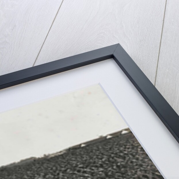 Sumatra indonesia tobacco field by Carl J. Kleingrothe