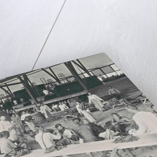 Sumatra, Mariendal old parlor of tobacco, Indonesia by Anonymous