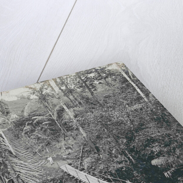 Sumatra indonesia, suspension bridge at Gunung Rintel by Carl J. Kleingrothe