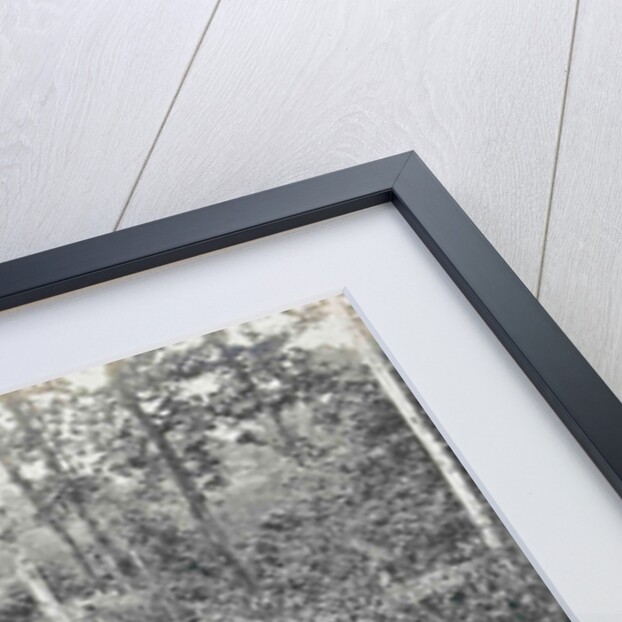 Sumatra indonesia, suspension bridge at Gunung Rintel by Carl J. Kleingrothe