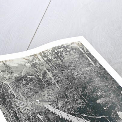 Sumatra indonesia, suspension bridge at Gunung Rintel by Carl J. Kleingrothe