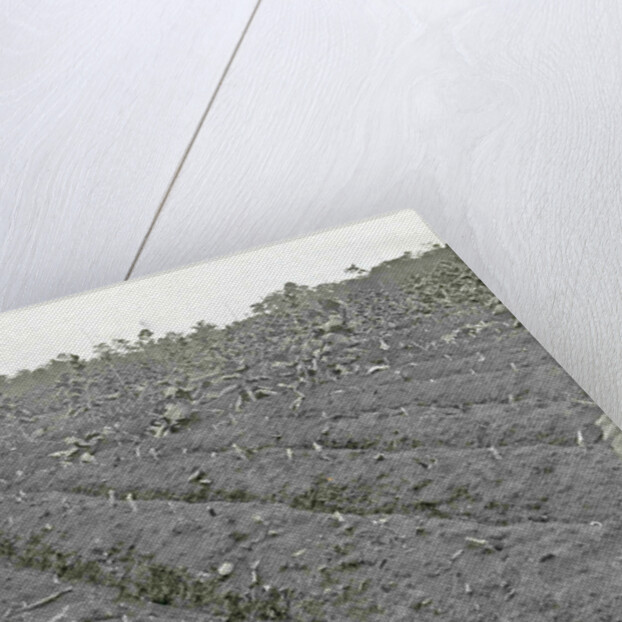 Sumatra indonesia Boeloe Sjina tobacco fields ravaged by storm by Anonymous