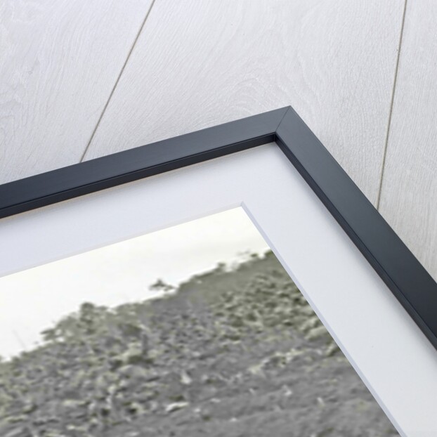 Sumatra indonesia Boeloe Sjina tobacco fields ravaged by storm by Anonymous