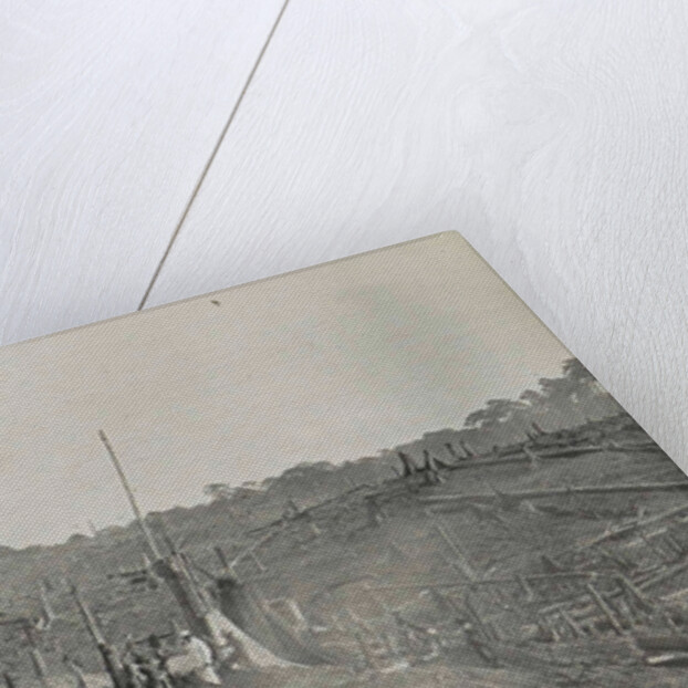 Sumatra, logging of old-growth forest, Indonesia by Anonymous