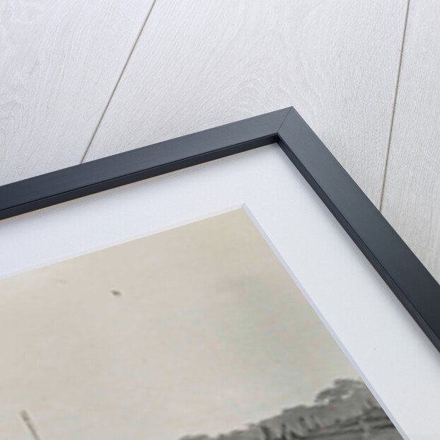 Sumatra, logging of old-growth forest, Indonesia by Anonymous