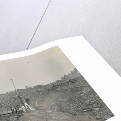 Sumatra, logging of old-growth forest, Indonesia by Anonymous