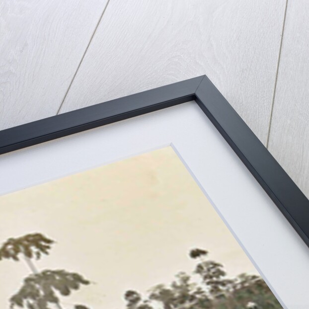 Sumatra indonesia bibit fields by Anonymous