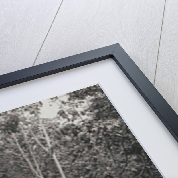 Sumatra indonesia, the cleaning of the rubber plantation by Anonymous