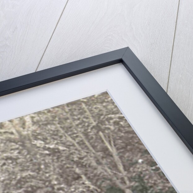 Sumatra, native population and a tree for rubber tapping, Indonesia by Anonymous