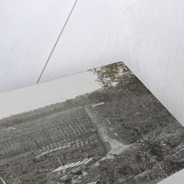 Sumatra indonesia, construction tobacco field by Carl J. Kleingrothe