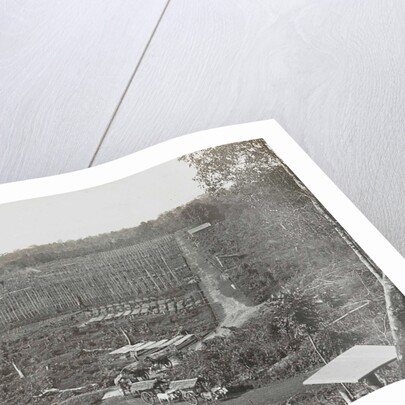 Sumatra indonesia, construction tobacco field by Carl J. Kleingrothe