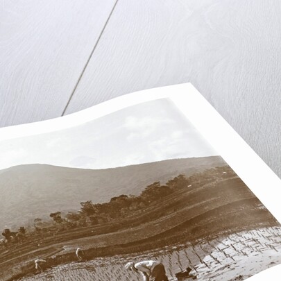 Sumatra, Merapi with natives on the field, Indonesia by Anonymous