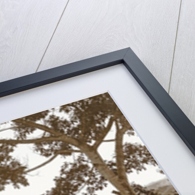 Sumatra, Matoer views, Indonesia by Christiaan Benjamin Nieuwenhuis