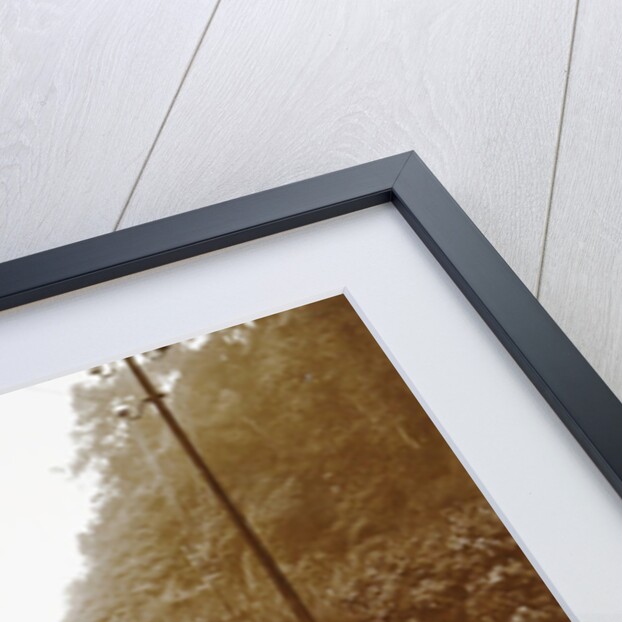 Sumatra indonesia railway in Anai Gorge by Christiaan Benjamin Nieuwenhuis