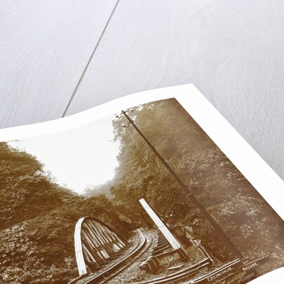 Sumatra indonesia railway in Anai Gorge by Christiaan Benjamin Nieuwenhuis