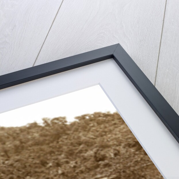 Anai - Abyss by Christiaan Benjamin Nieuwenhuis