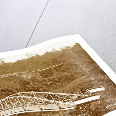 Anai Gorge, Indonesia by Christiaan Benjamin Nieuwenhuis