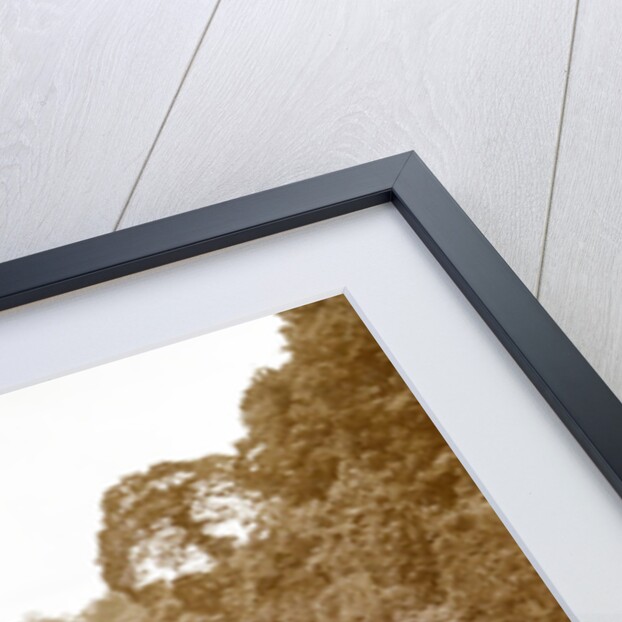 Sumatra indonesia, Anai Gorge with railway by Christiaan Benjamin Nieuwenhuis