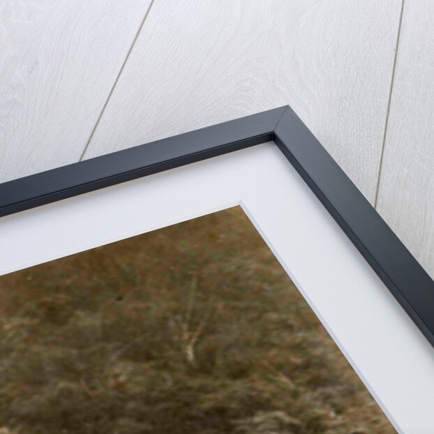 Sumatra indonesia, Anai Gorge from train with railway by Anonymous