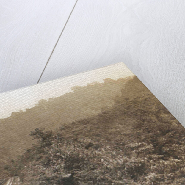 Sumatra, Anai Gorge from train railway, Indonesia by Anonymous